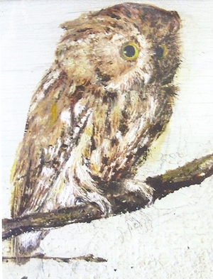 owl by may alcott0001