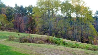 The girls would often pretend they were fairies or go berry picking.