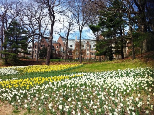 640 college with flowers