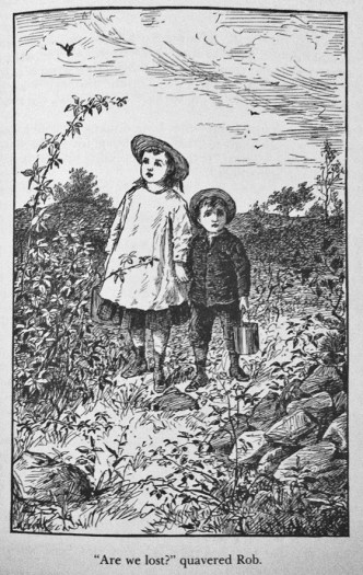 chp 12 nan and rob get lost