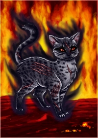 kitty-mouse with fire