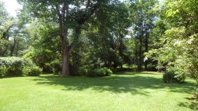 yard Emerson house 560