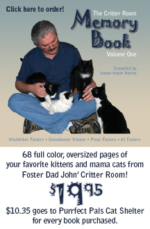 critter room memory book box art2