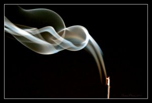 from dwellingintheword.wordpress.com