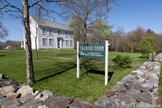 thoreau birthplace
