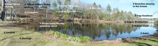 panoramic photo (uses first and third photo)2-720