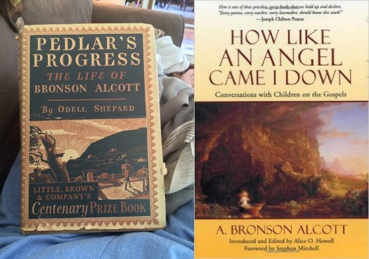 pedlar's progress-horiz